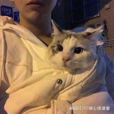 光影对决手游国际服下载