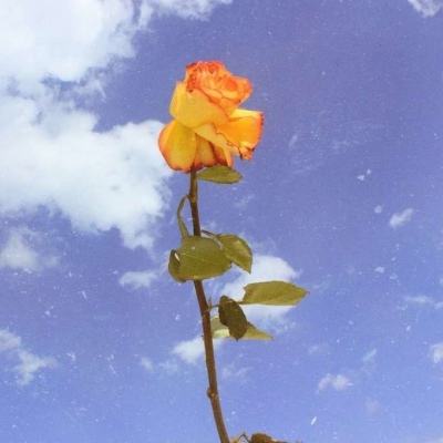 怪兽纪元测试版下载